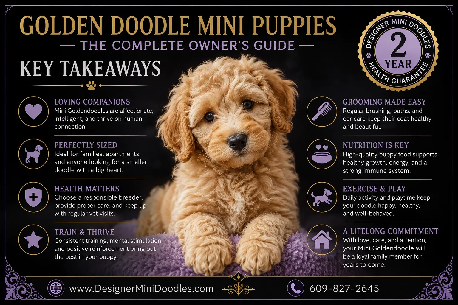 golden doodle mini puppies