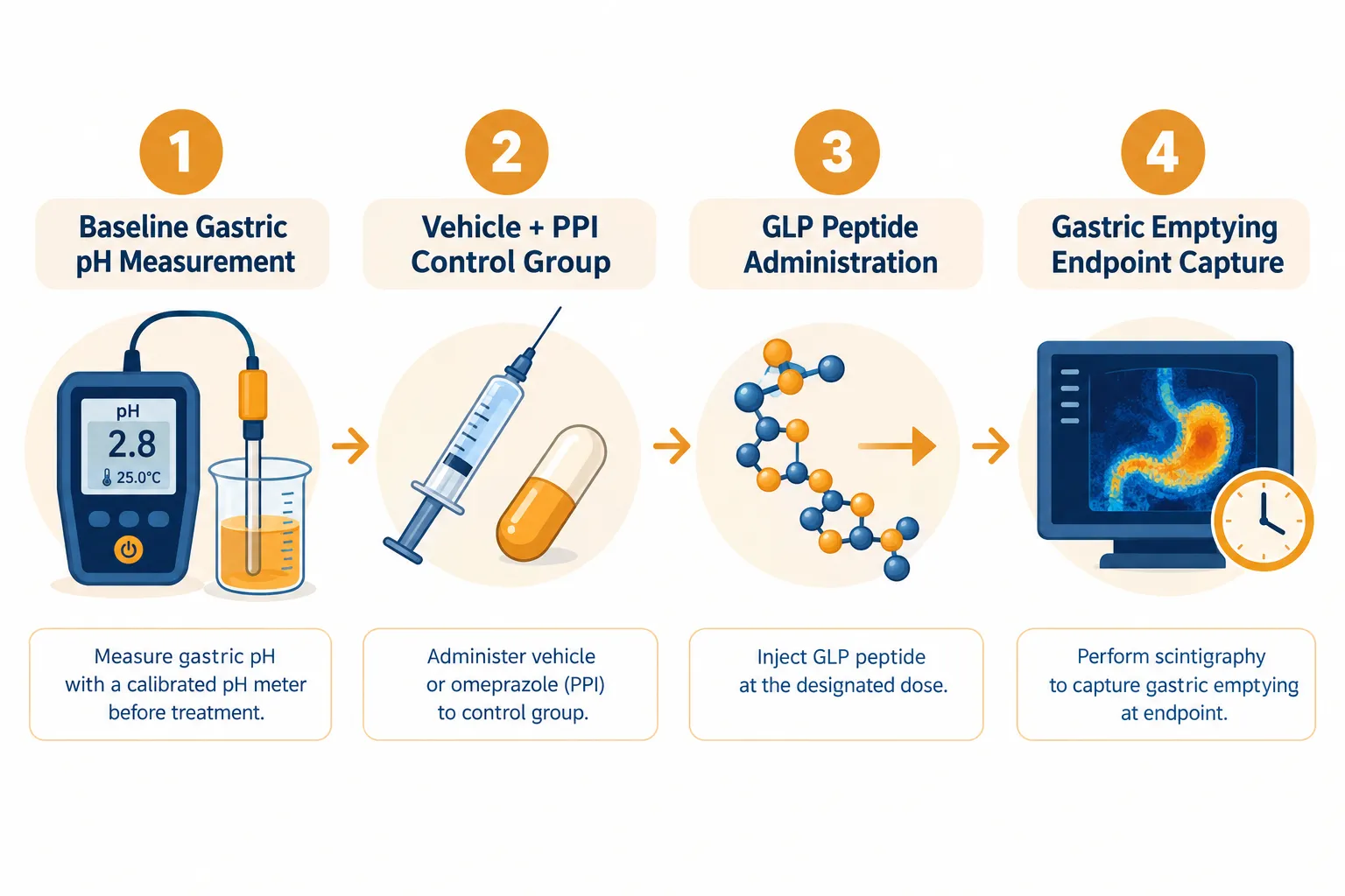 Practical Implications for Translational and Clinical Research