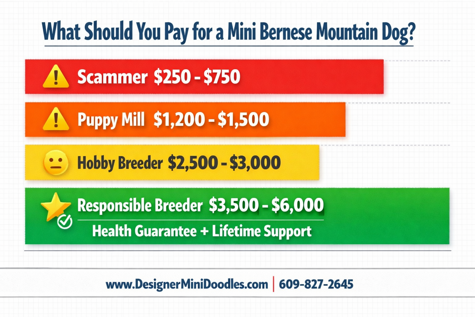 mini bernese mountain dog price