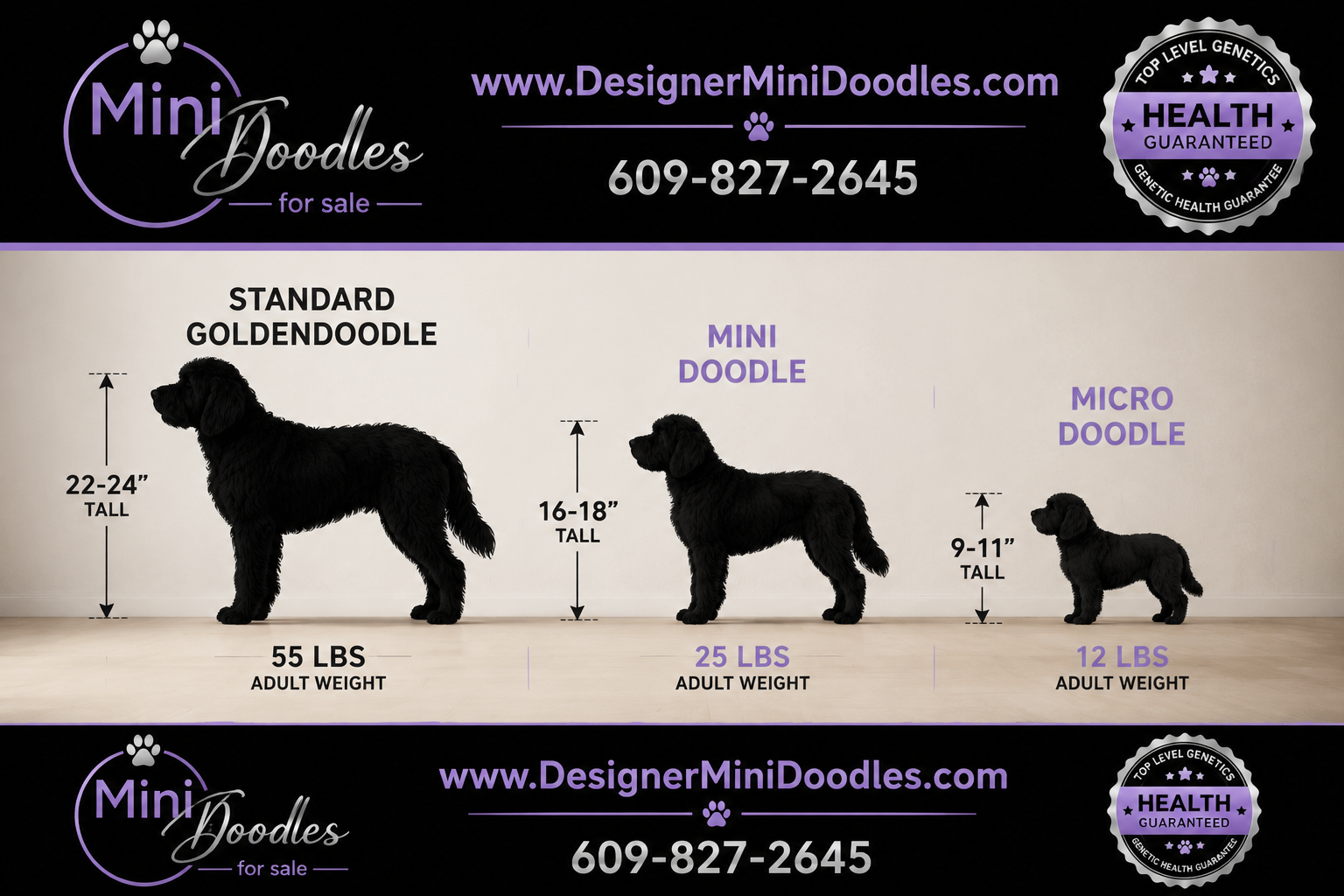 Are mini doodles good family pets?