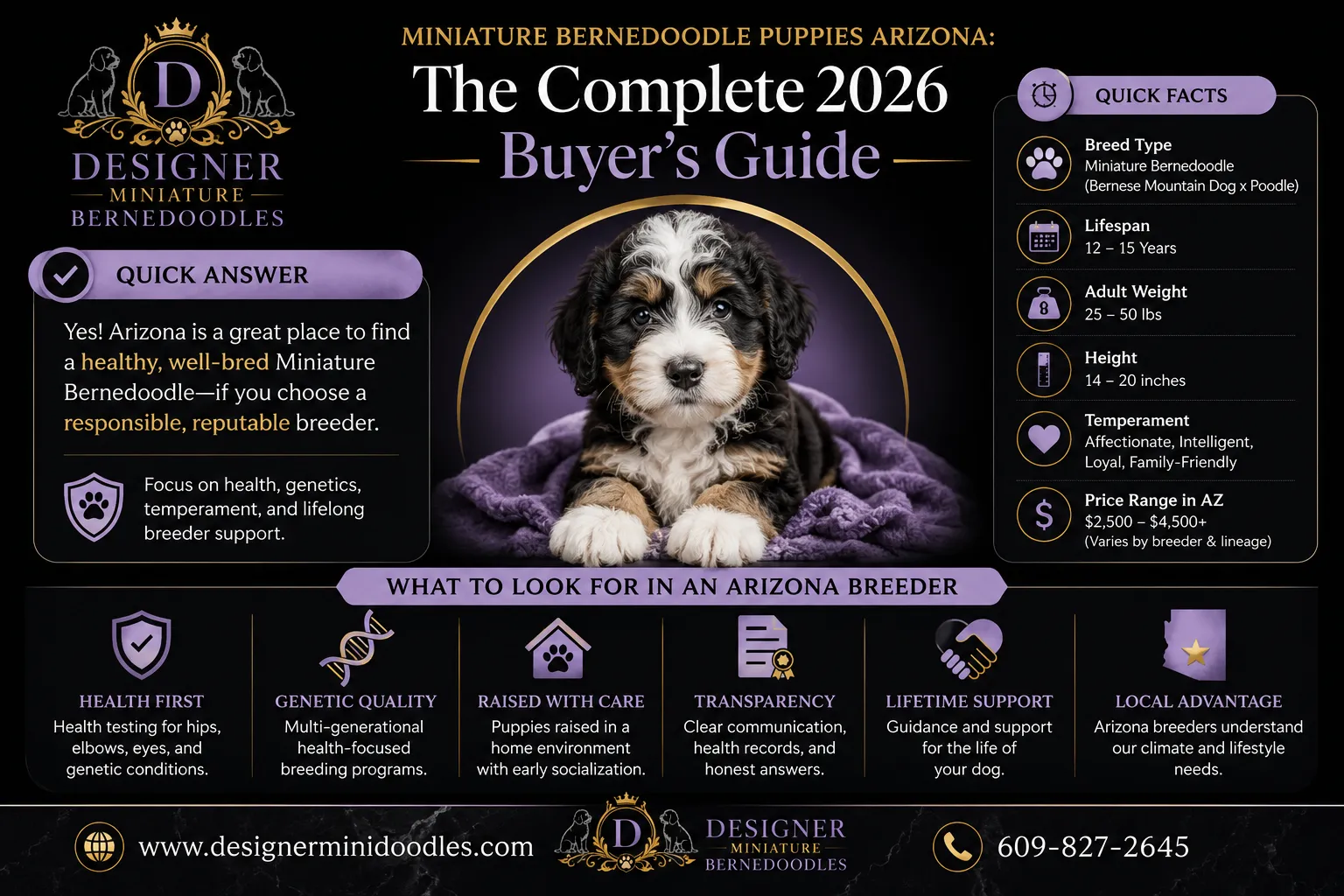 miniature bernedoodle puppies Arizona