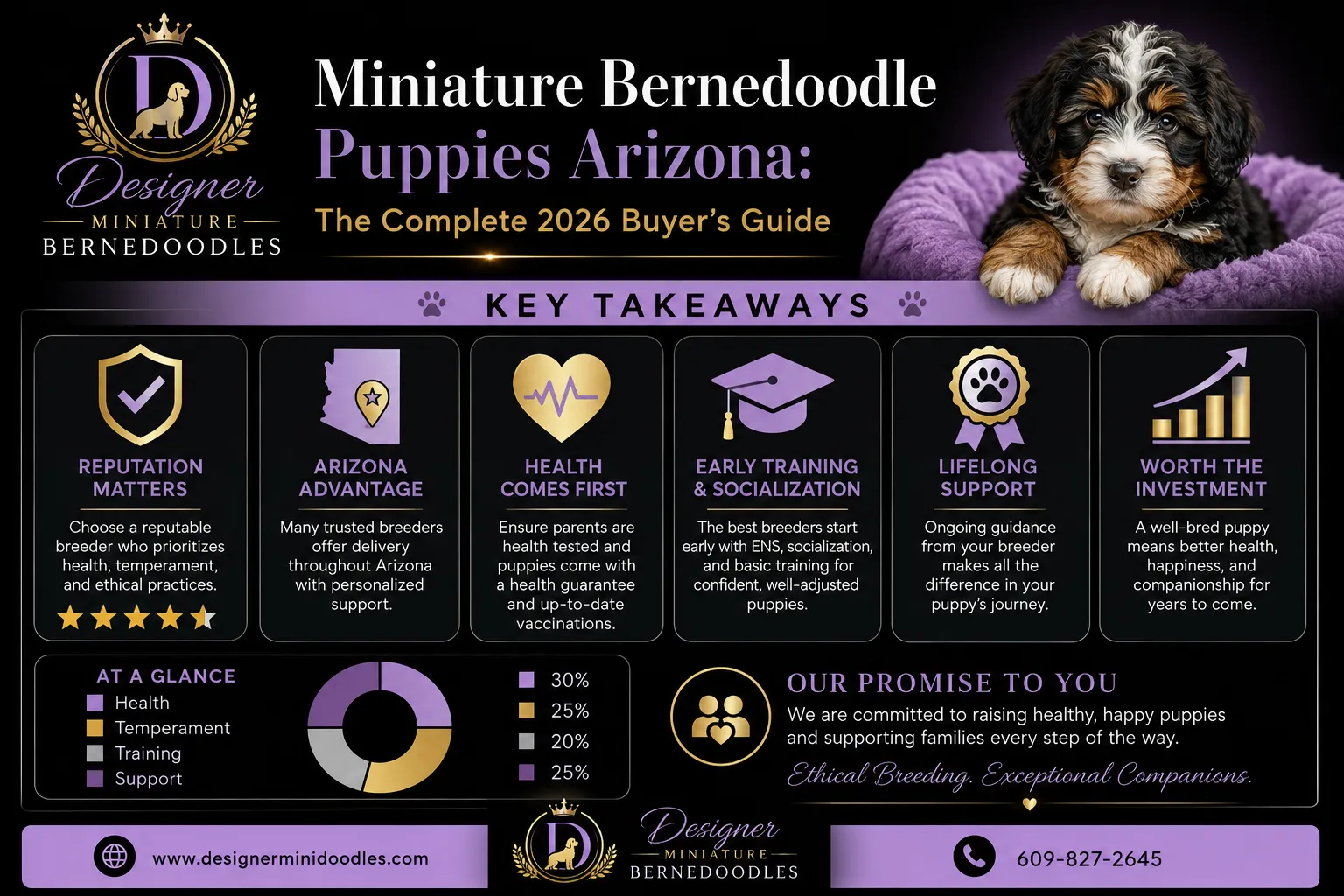 Miniature bernedoodle vs standard bernedoodle size