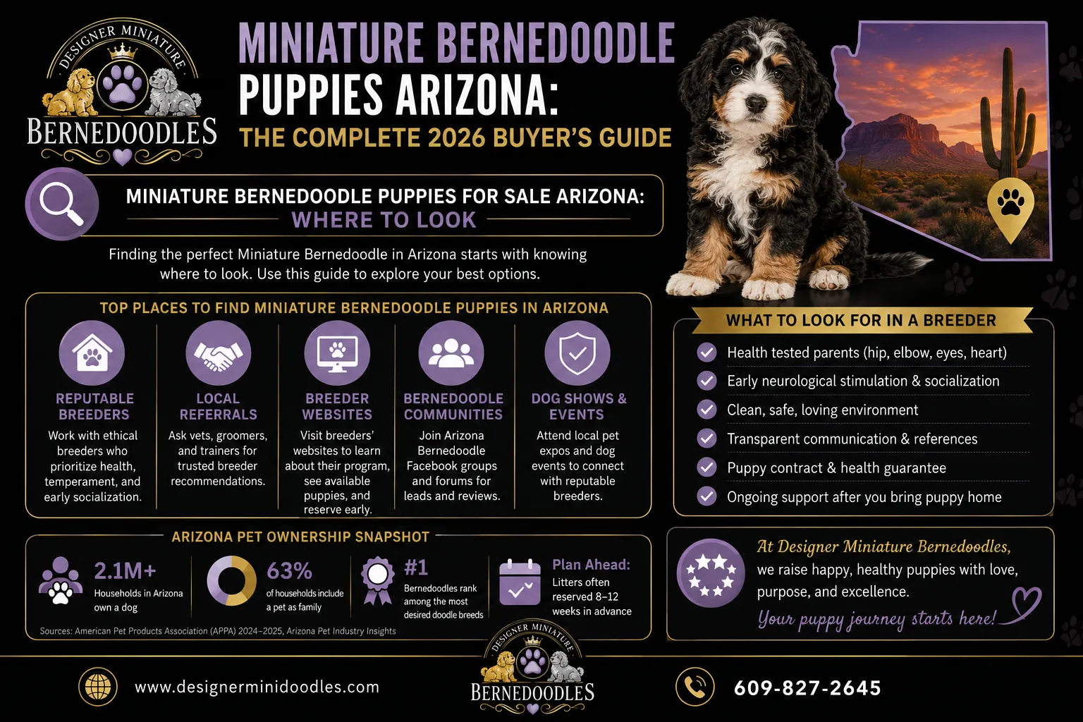 Where to find ethical miniature bernedoodle breeders near me in Arizona