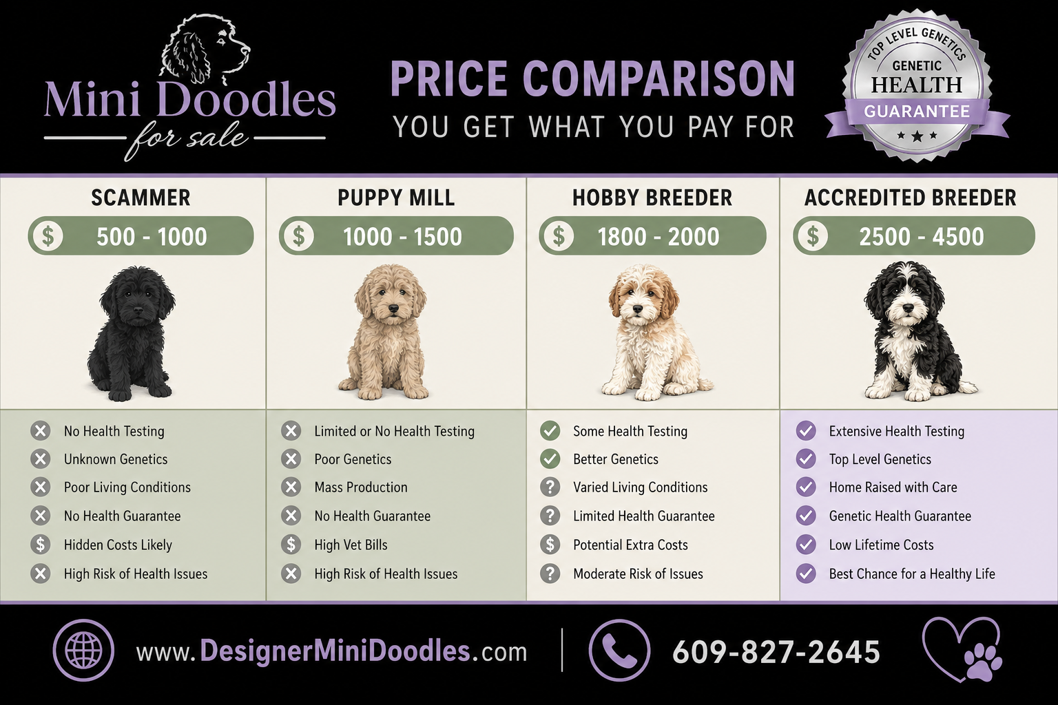 Mini Doodle Grooming Requirements and Costs