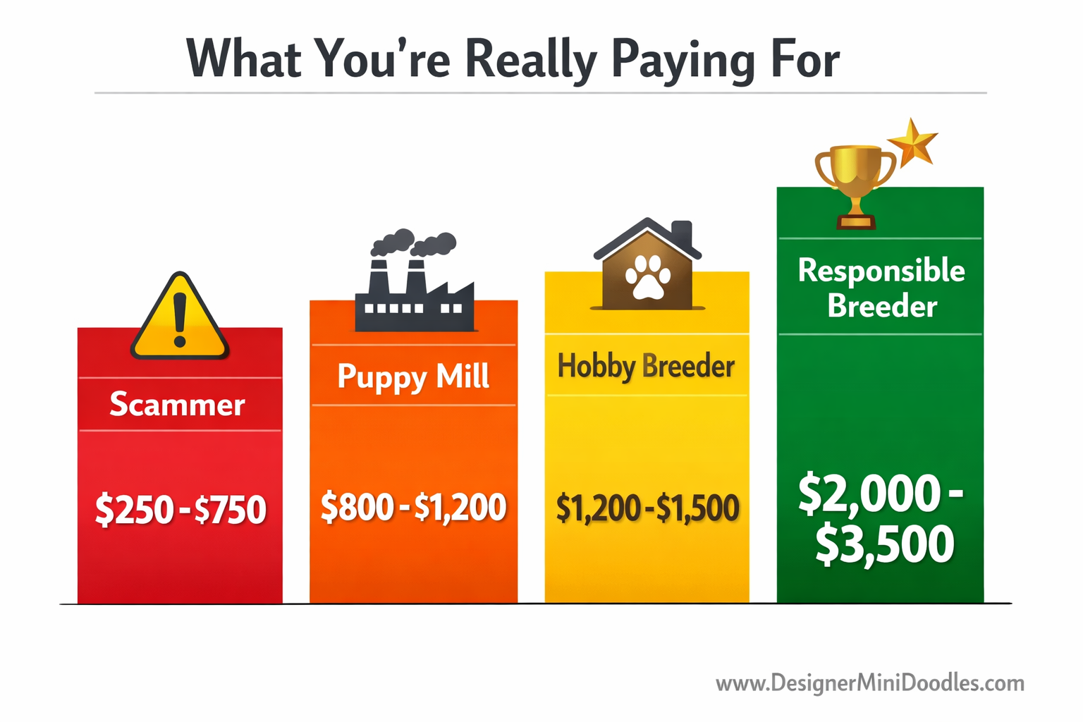 () split-panel price comparison bar chart graphic showing four price tiers side by side: 'Scammer $250-$750' in red, 'Puppy