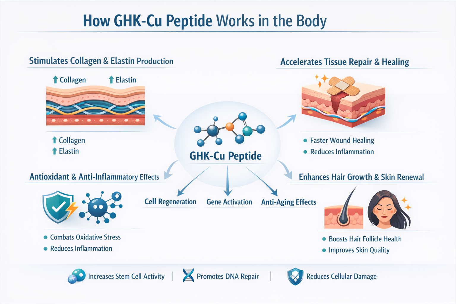 Professional landscape infographic (1536x1024) for article "GHK-Cu Peptide: Your Complete Guide to This Powerful Regenerative Compound", sec