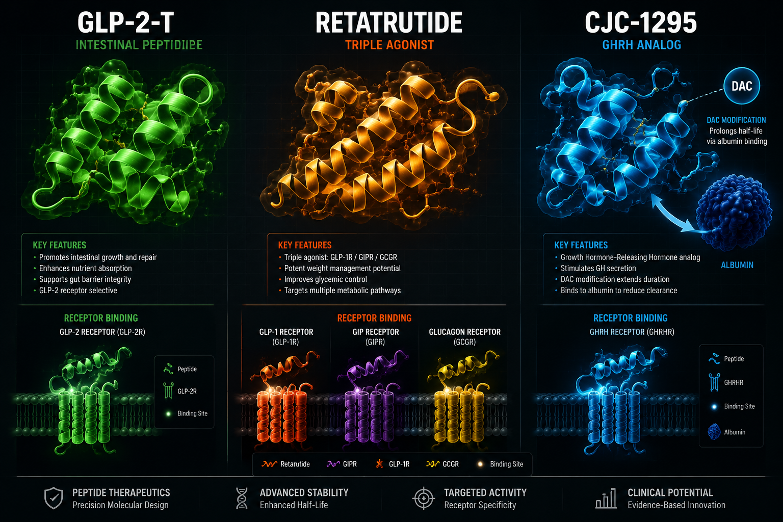 GLP-3 and GLP-2-T: Incretin-Adjacent Peptides in Metabolic Research