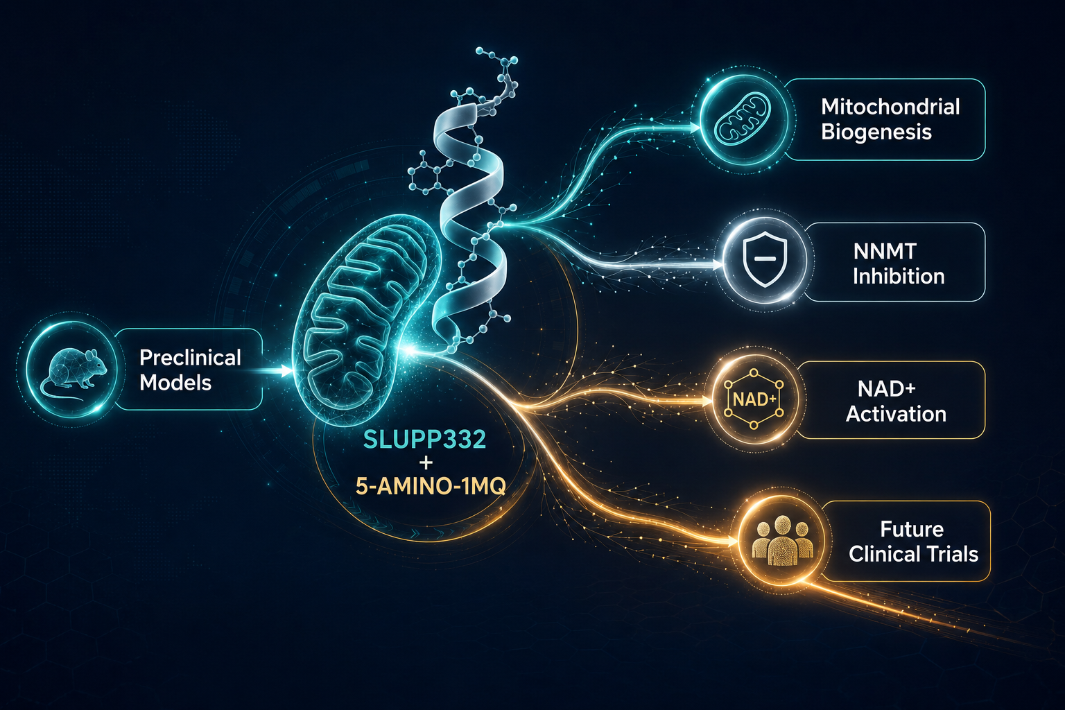 Current Evidence, Limitations, and Research Outlook