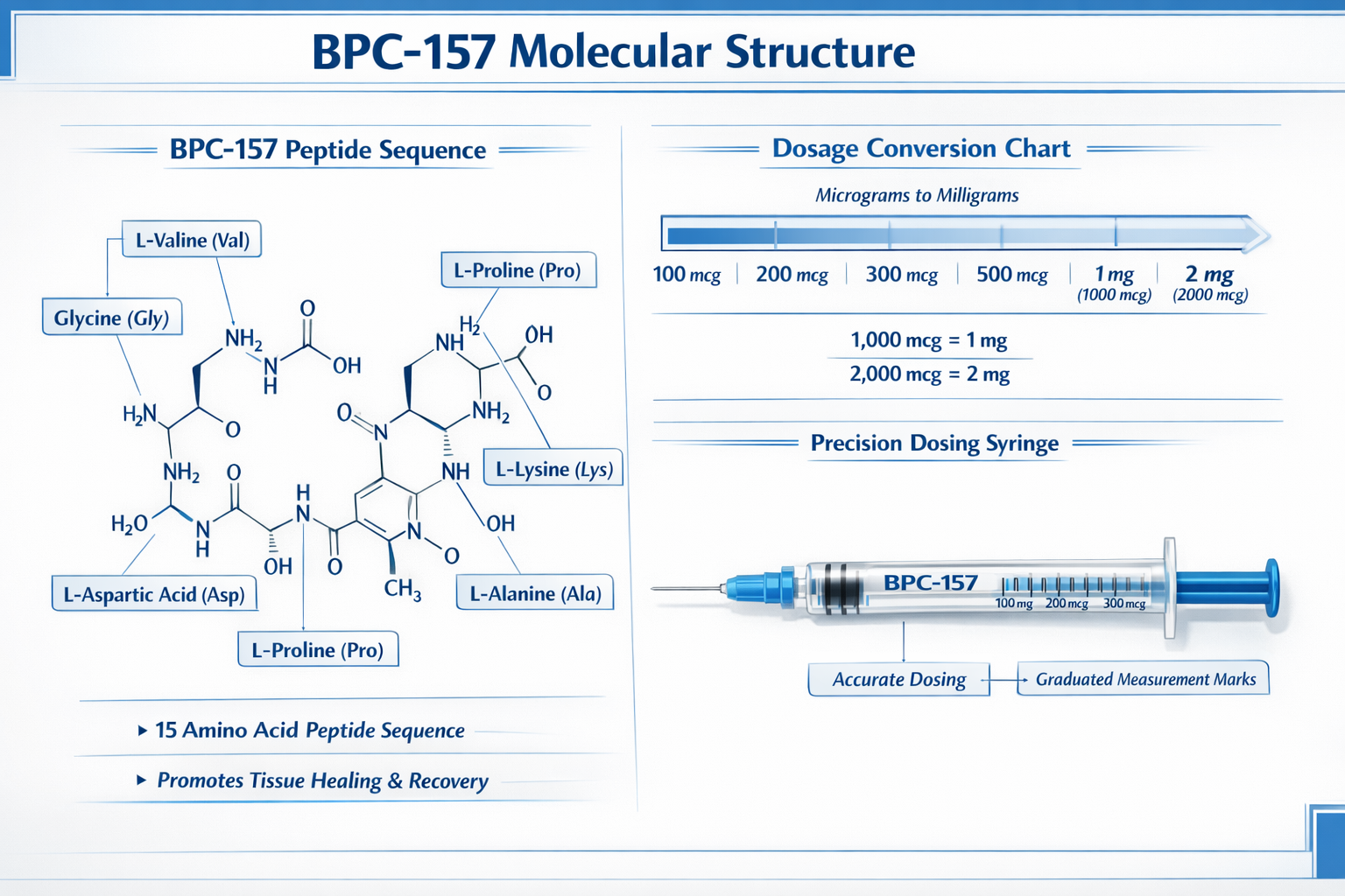 Detailed infographic showing BPC-157 molecular structure with labeled amino acid chains, dosing measurement chart displaying micrograms to m