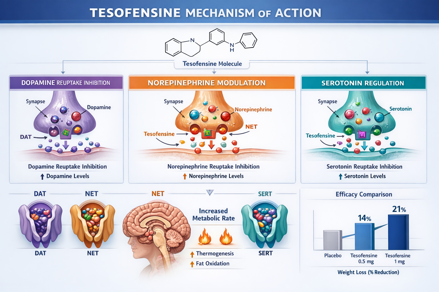 Comprehensive landscape chart (1536x1024) displaying tesofensine mechanism of action with three-column layout showing neurotransmitter pathw