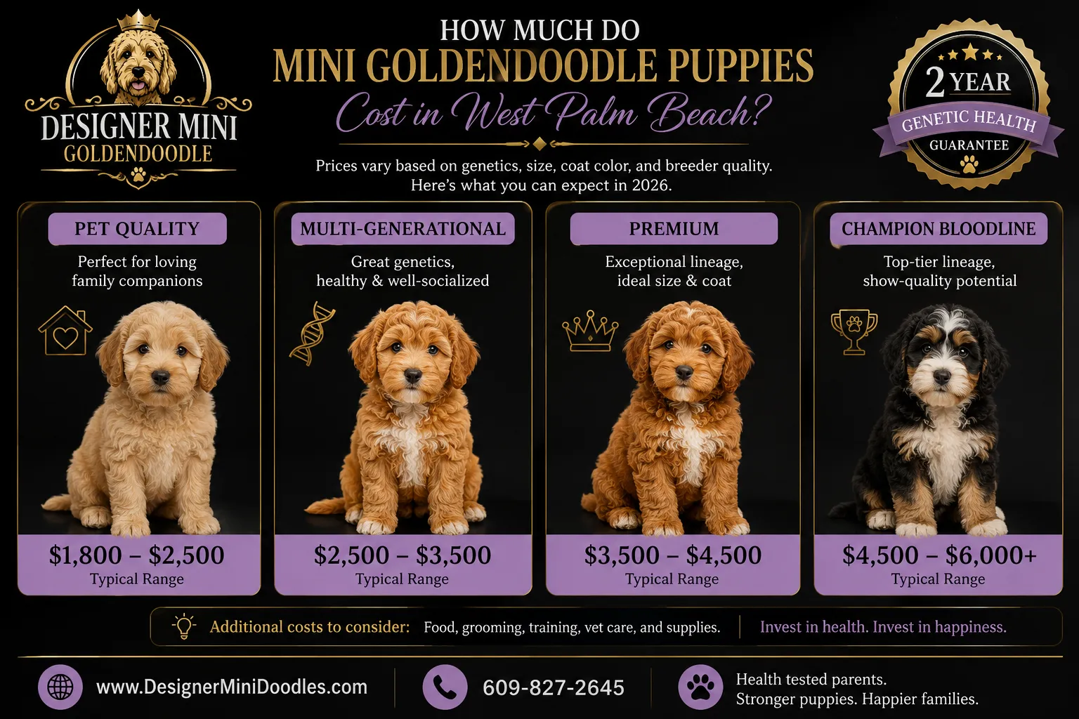 mini golden doodle puppies West Palm Beach