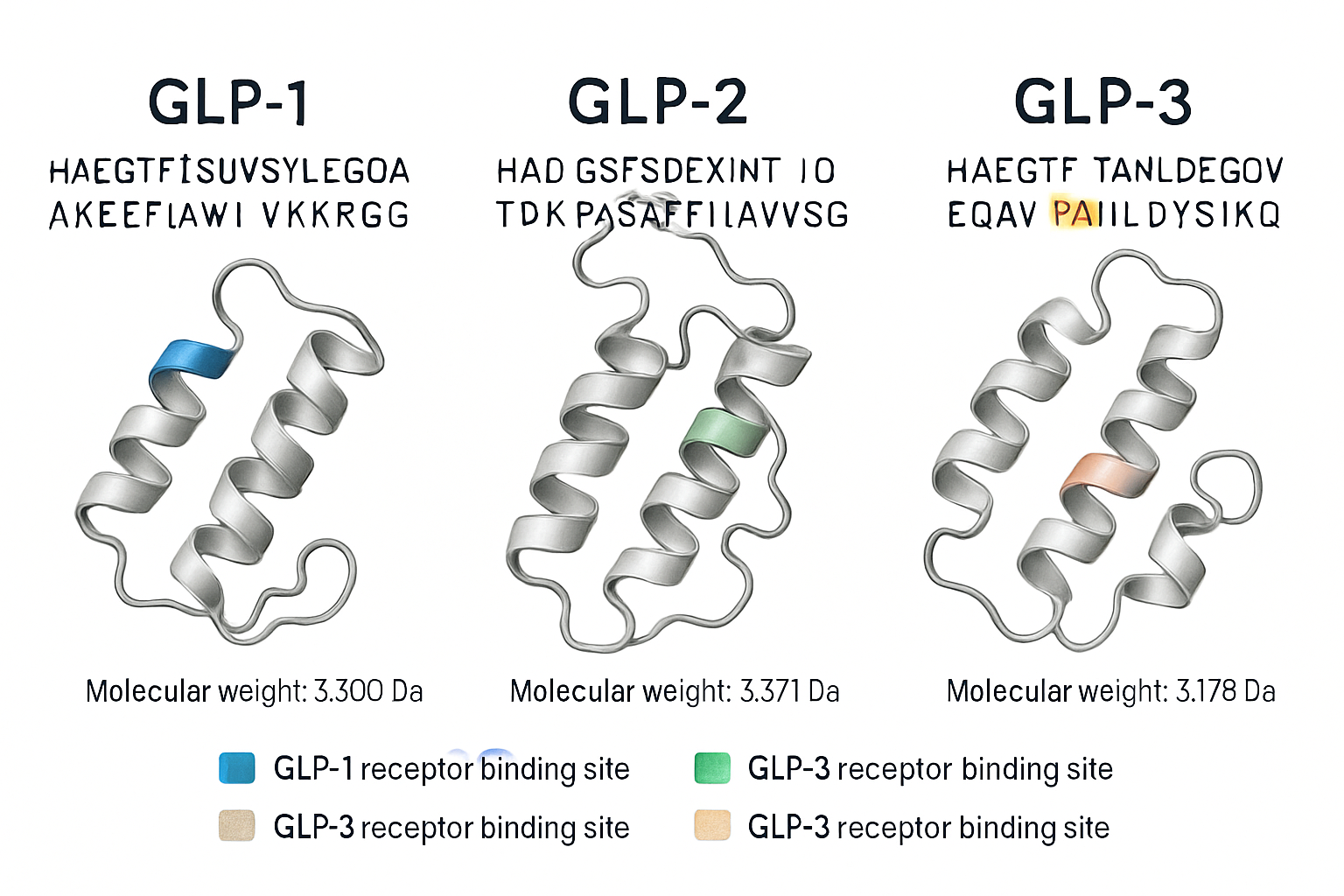 Scientific infographic showing three distinct molecular structures side by side representing GLP-1, GLP-2, and GLP-3 peptides with detailed 