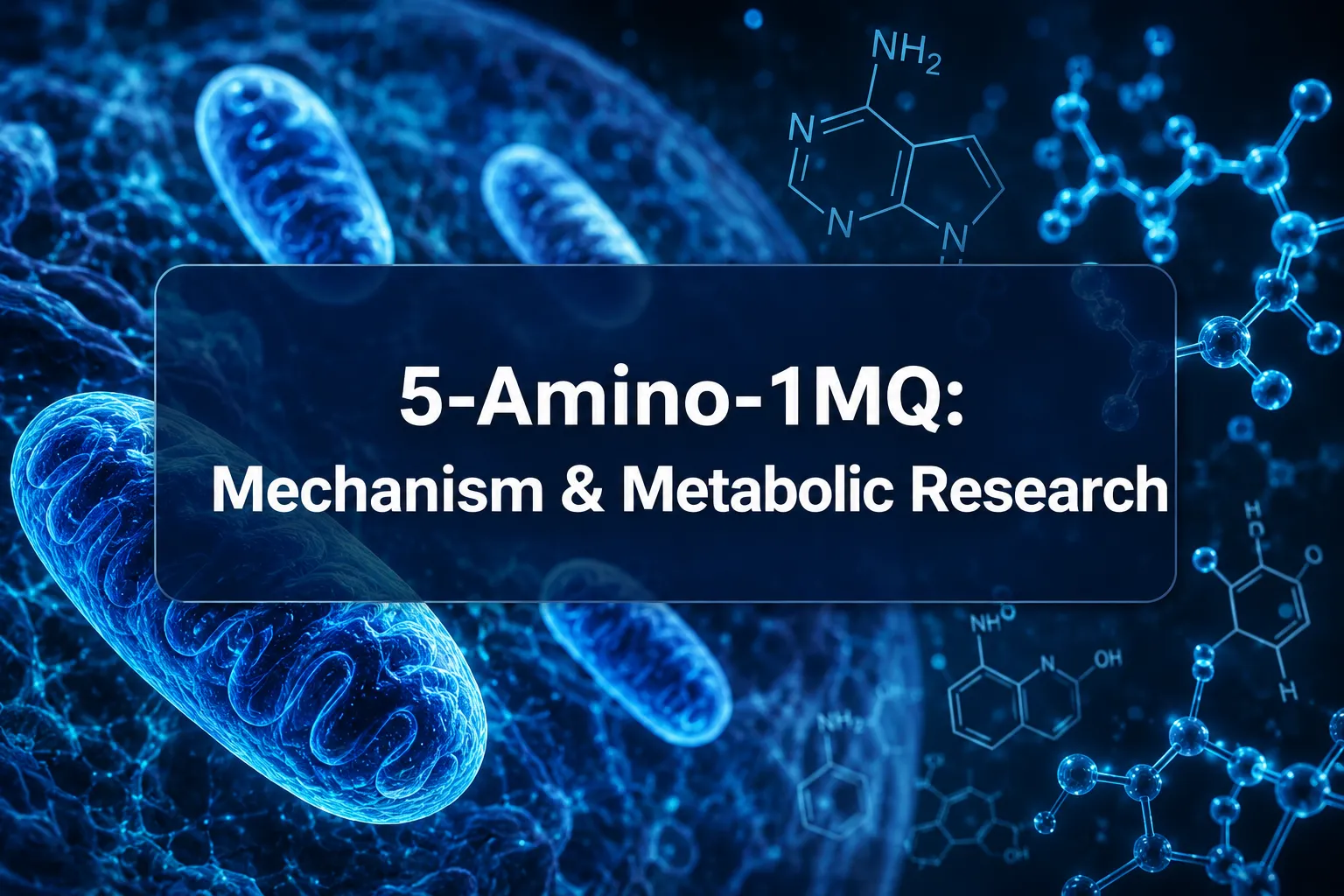 Professional () hero image with SHORT (≤42 chars): '5-Amino-1MQ: Mechanism & Metabolic Research', white on a deep navy