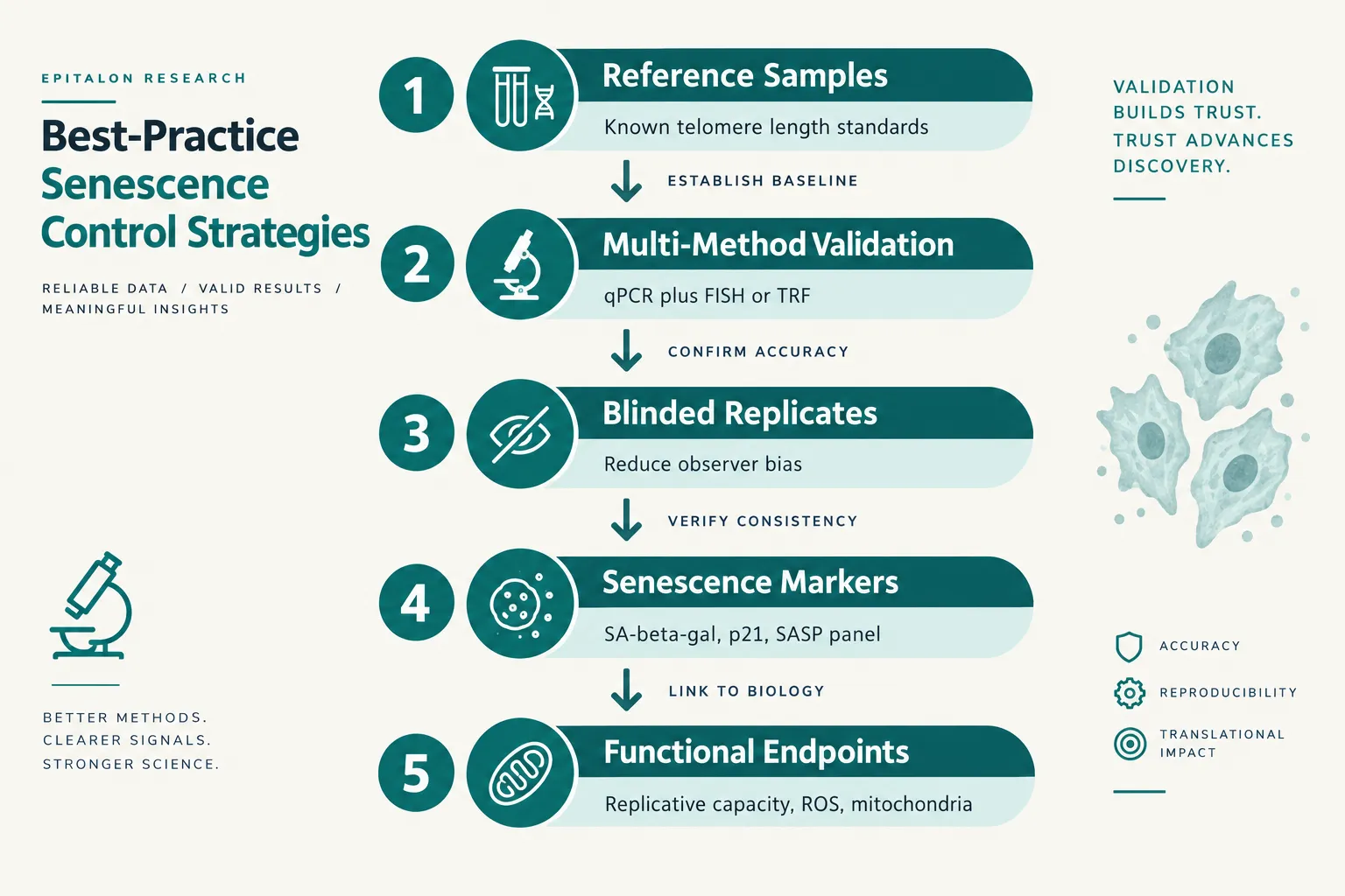 Better Senescence Controls: Moving Beyond Telomere Length