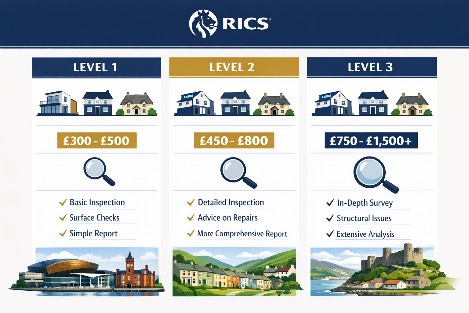 () detailed infographic showing RICS three-tier survey system with Level 1, Level 2, and Level 3 clearly labeled in vertical