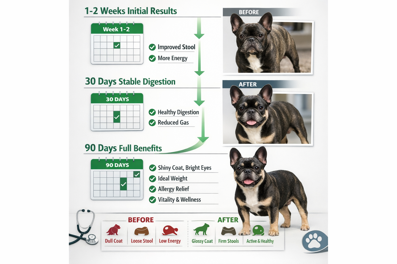 Portrait format (1024x1536) timeline infographic showing 1-2 week initial results, 30-day stable digestion milestone, 90-day full benefits t