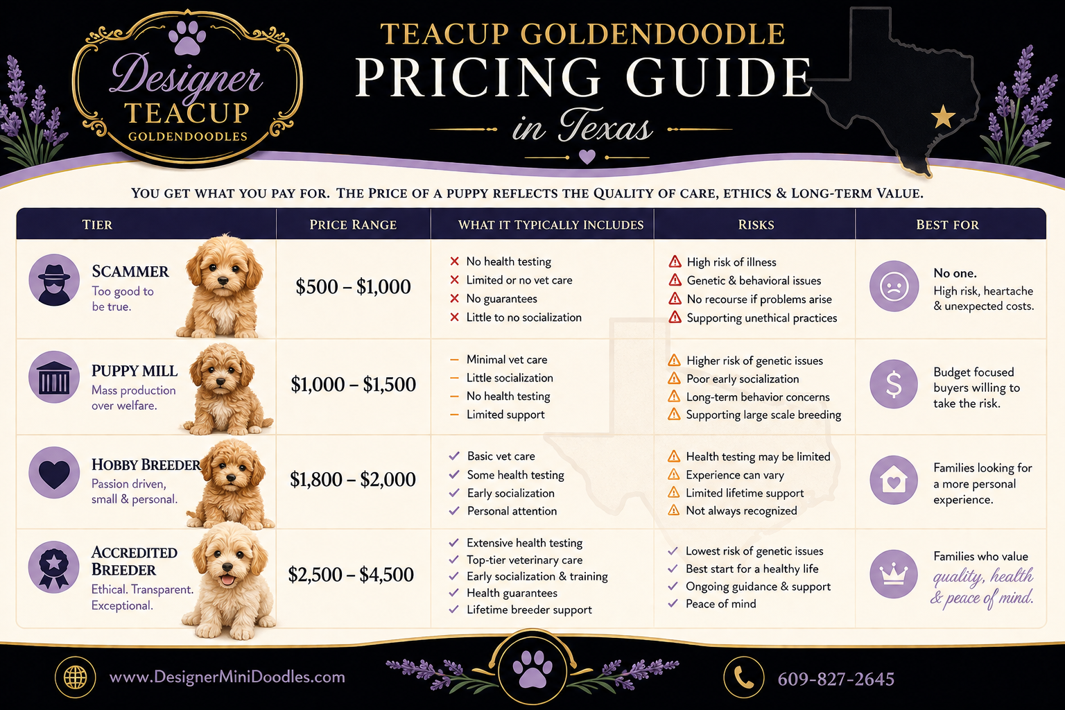 Are Teacup Goldendoodles Good for Apartments?