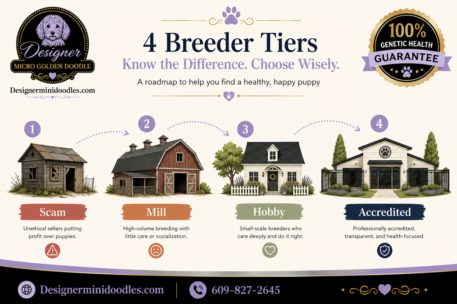 Are Micro Goldendoodles Good for Apartments?