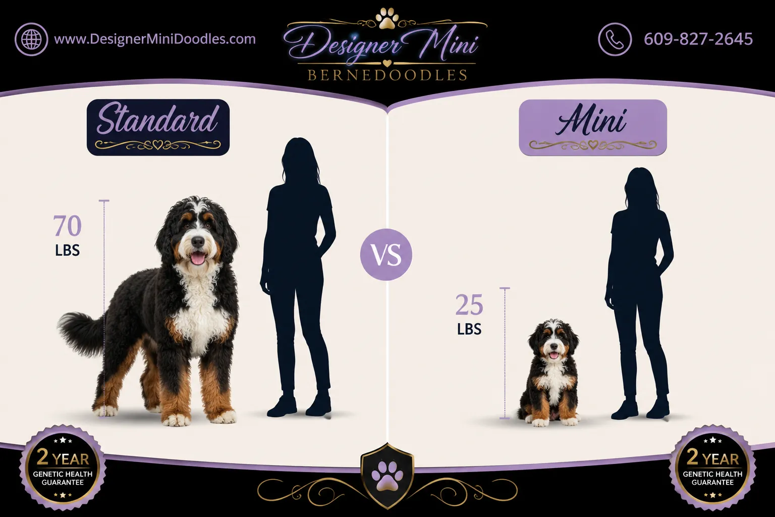 mini bernedoodle breeders Los Angeles