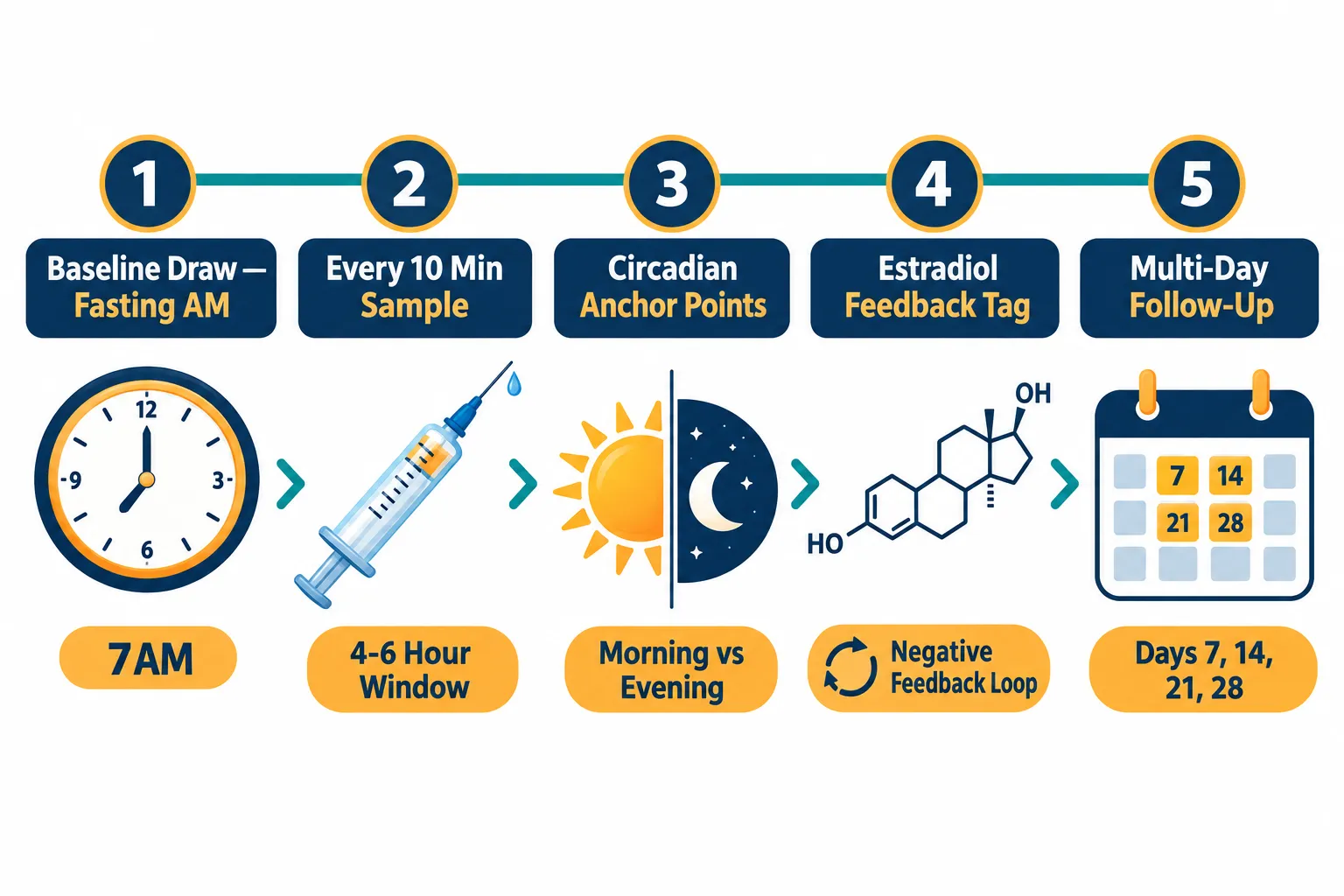 The Sampling Design Challenge: Separating Endocrine Feedback From Circadian Variation