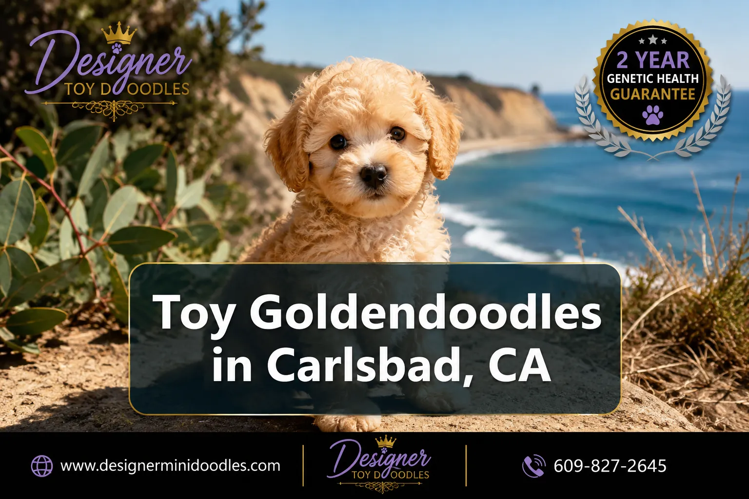 toy goldendoodles Carlsbad California