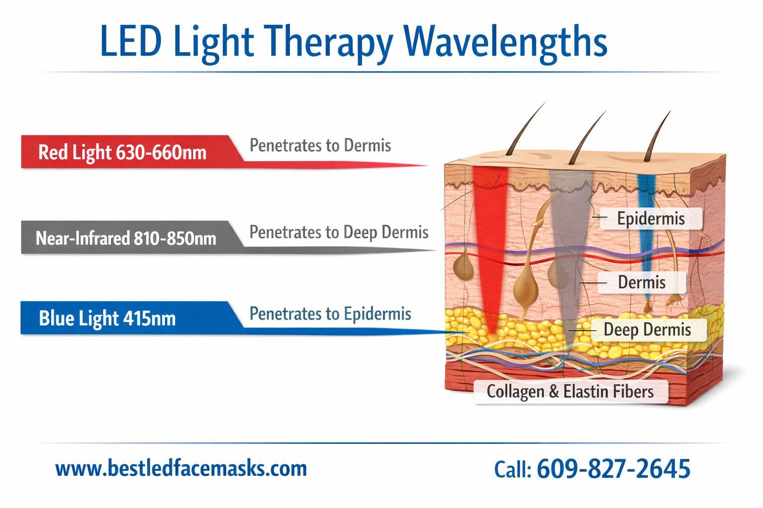() infographic-style image showing LED light therapy wavelength comparison chart. Horizontal bars in red (630-660nm),