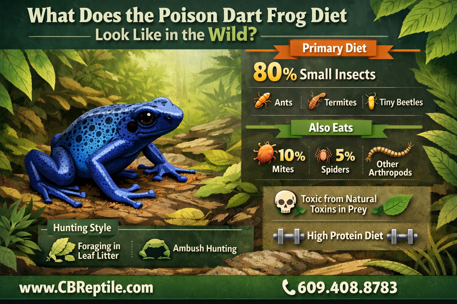 Professional infographic for article "Poison Dart Frog Diet: What They Eat in the Wild and in Captivity (2026 Guide)",