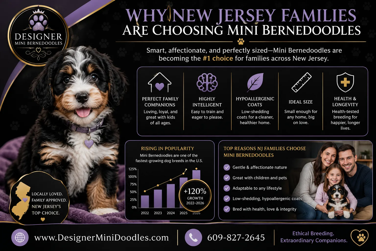 mini bernedoodle breeders in New Jersey