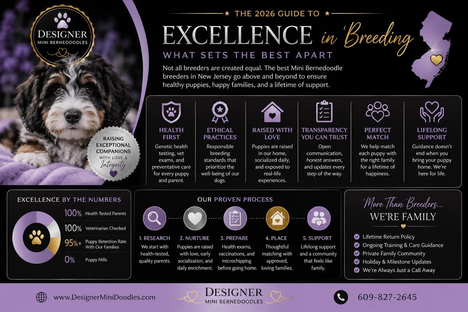 mini bernedoodle breeders in New Jersey