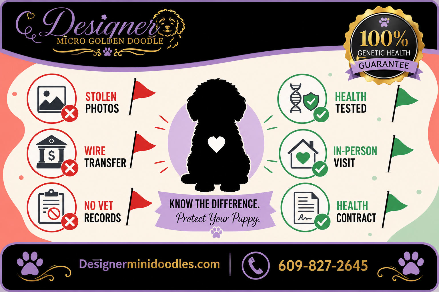 micro golden doodle breeders