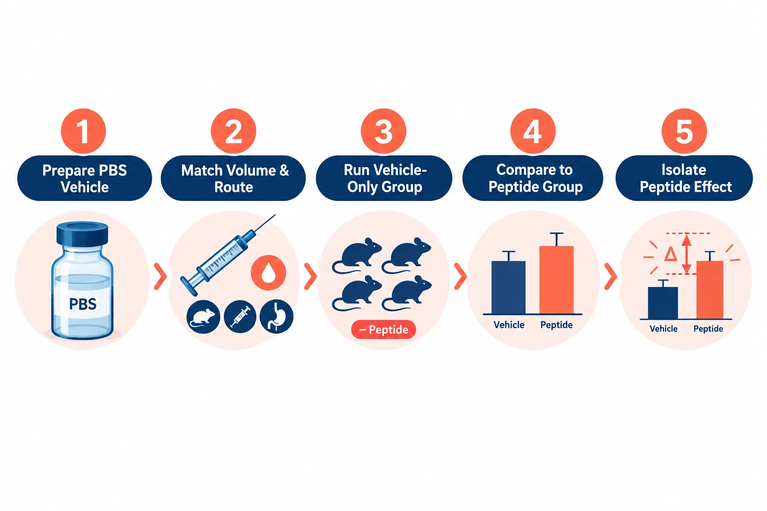 Vehicle Controls and Buffer Optimization in Peptide Experiments