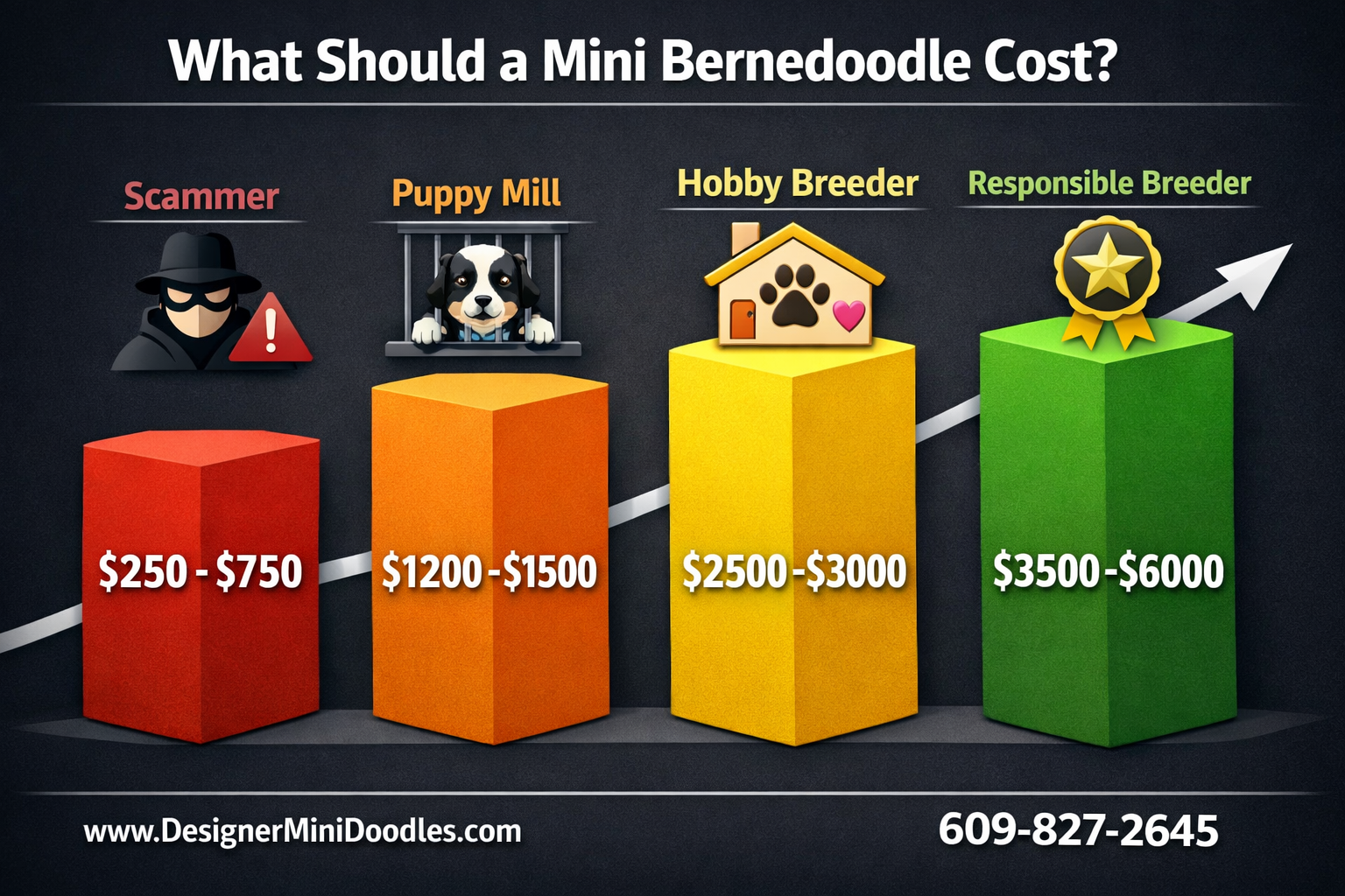 Detailed () creative price comparison bar chart infographic showing four pricing tiers for bernedoodle puppies: Scammer