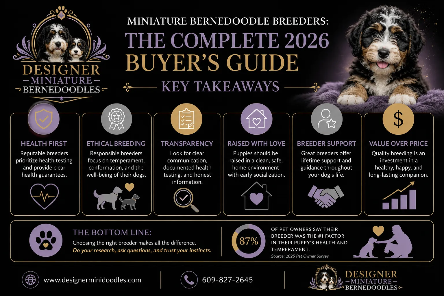 What Is a Miniature Bernedoodle and How Big Do They Get?