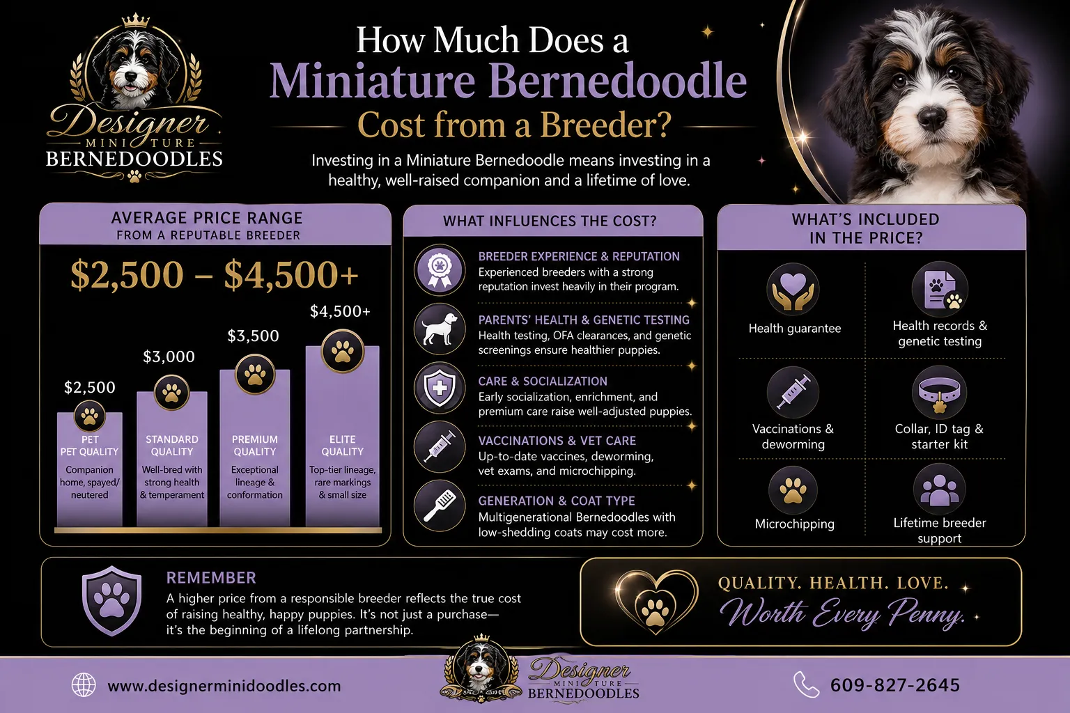 miniature bernedoodle breeders