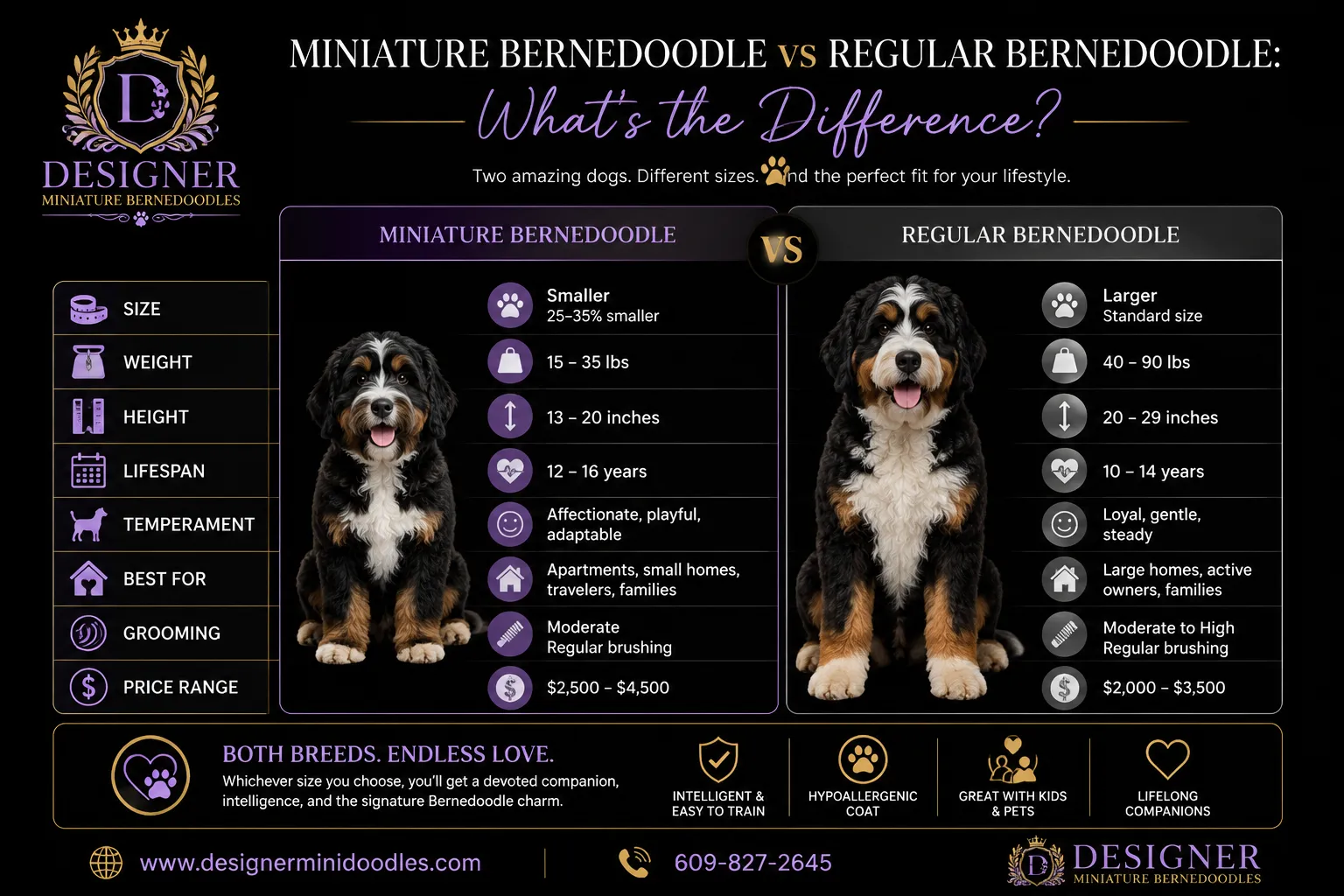 miniature bernedoodle breeders near me
