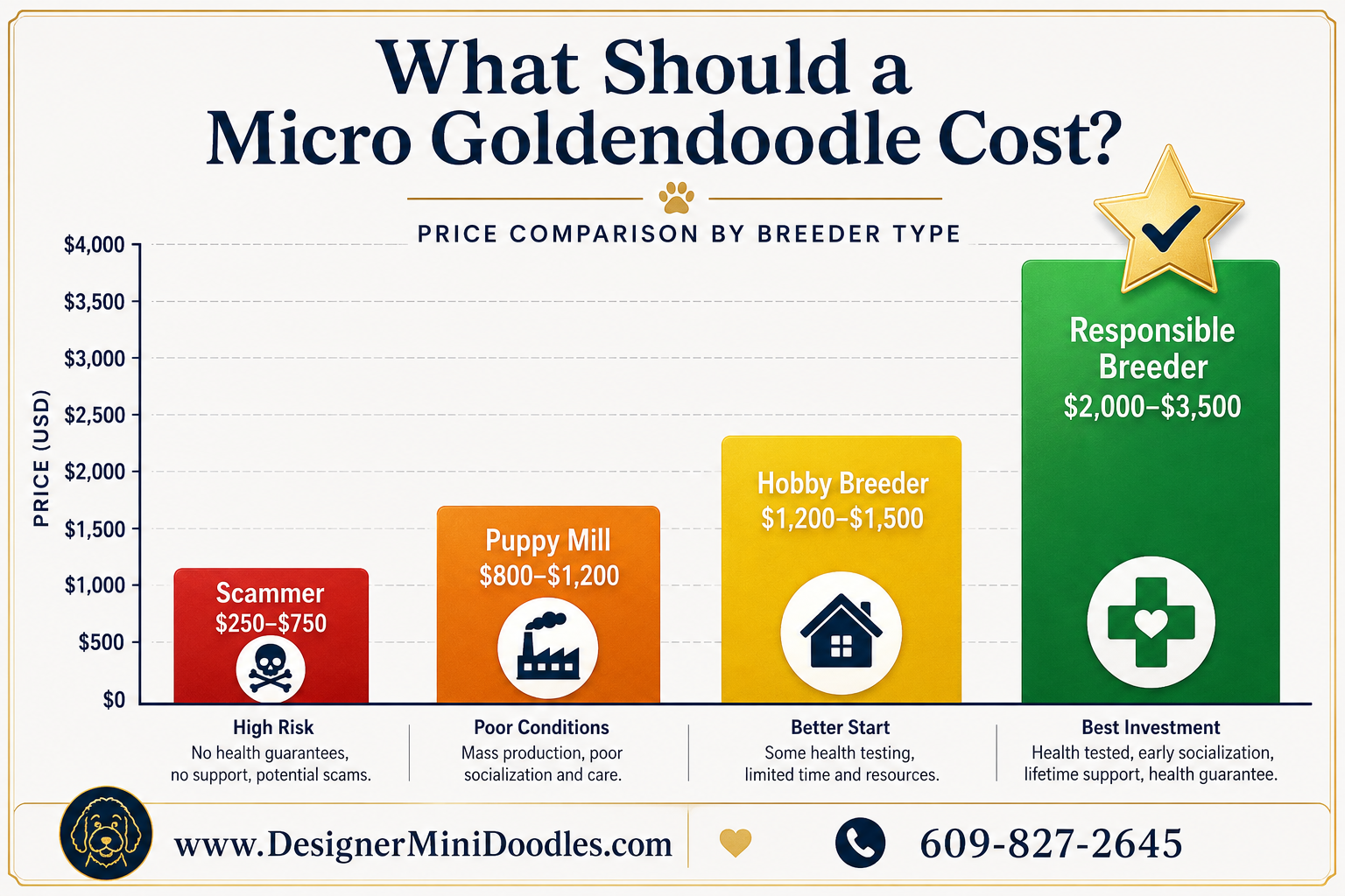 Micro goldendoodle cost