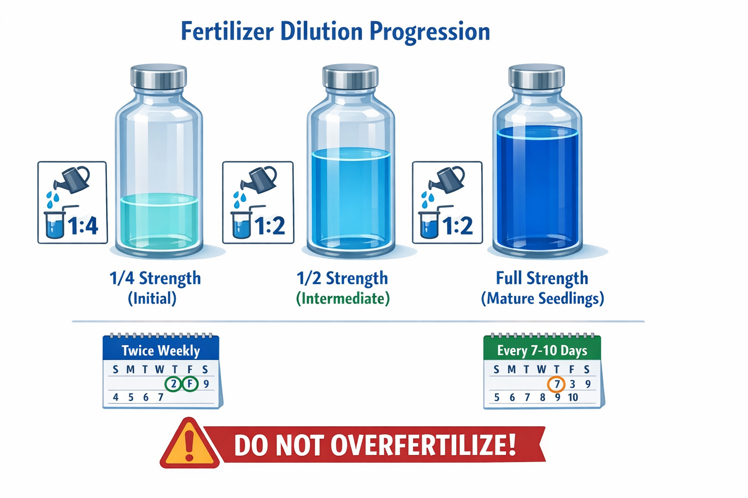 When to Fertilize Vegetable Seedlings