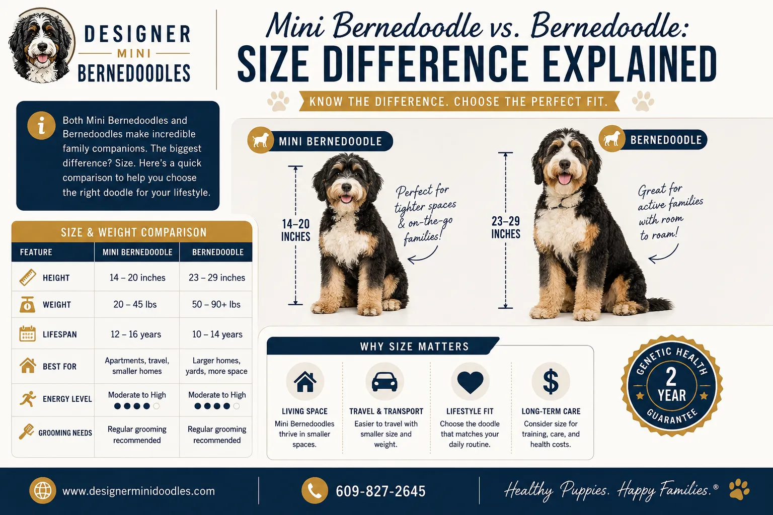 Mini Bernedoodle Breeders Near Naperville, Illinois