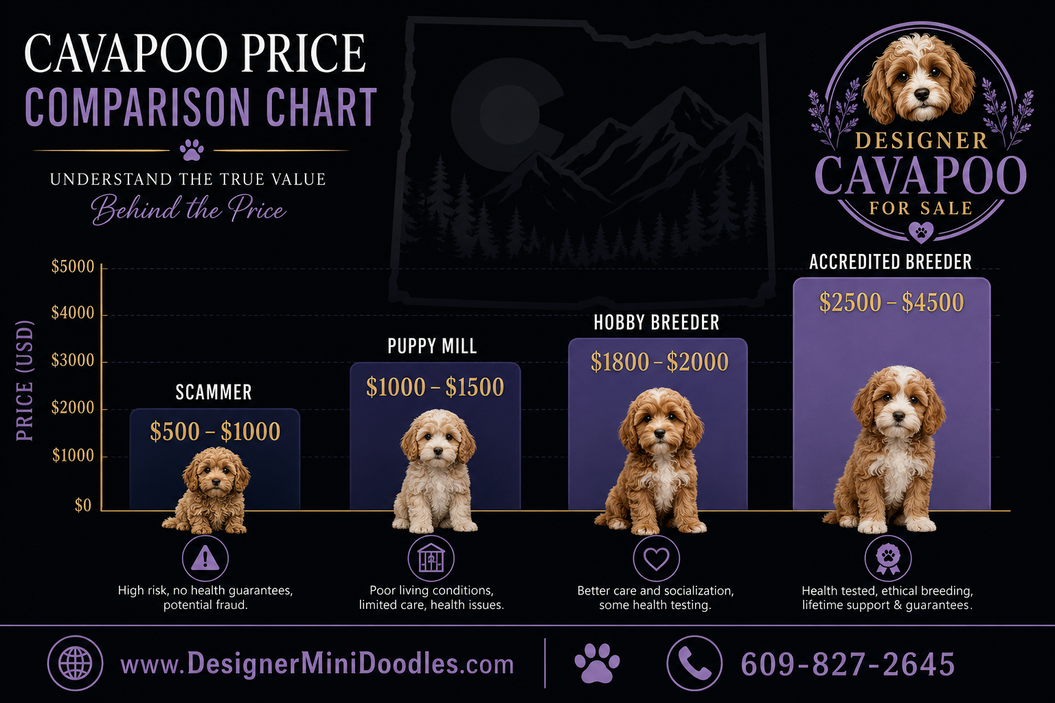 Cavapoo cost