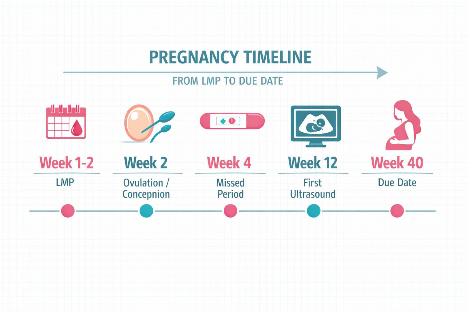Infographic-style illustration () showing a horizontal pregnancy timeline from LMP to due date, with labeled milestones: