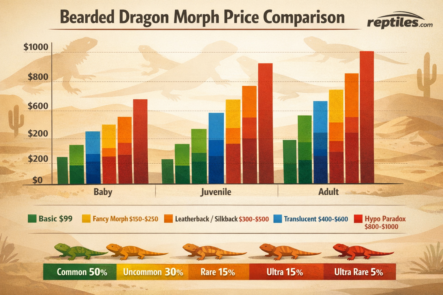 Pricing comparison chart graphic showing cost ranges for different bearded dragon morphs from basic ($99) to premium hypo paradox ($800-1000