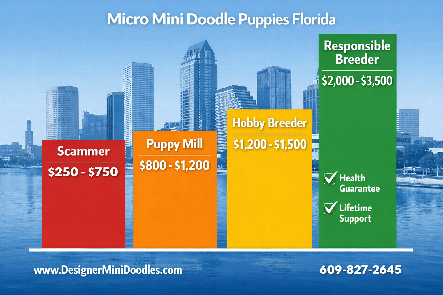() price comparison bar chart infographic showing four price tiers as colorful vertical bars: red bar labeled 'Scammer