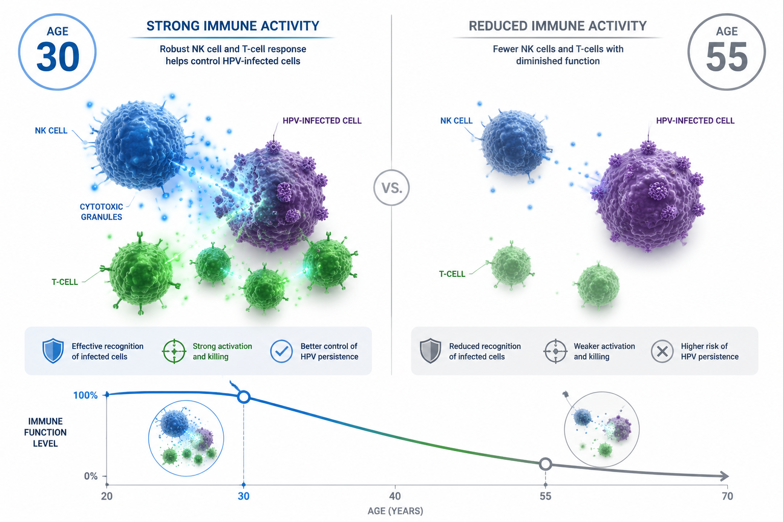Detailed () medical illustration showing a side-by-side comparison of immune cell activity: left panel shows vibrant NK