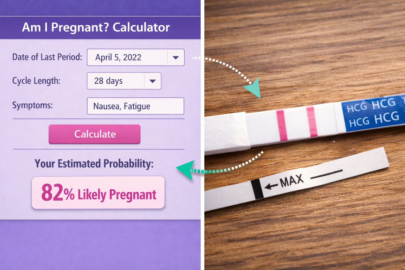 A split-screen composition in () comparing a digital 'am i pregnant calculator percentage' interface on one side with a