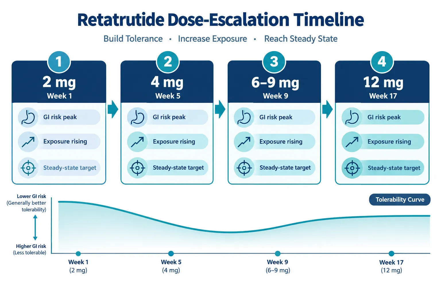 How Escalation Schedules Shape Drug Exposure
