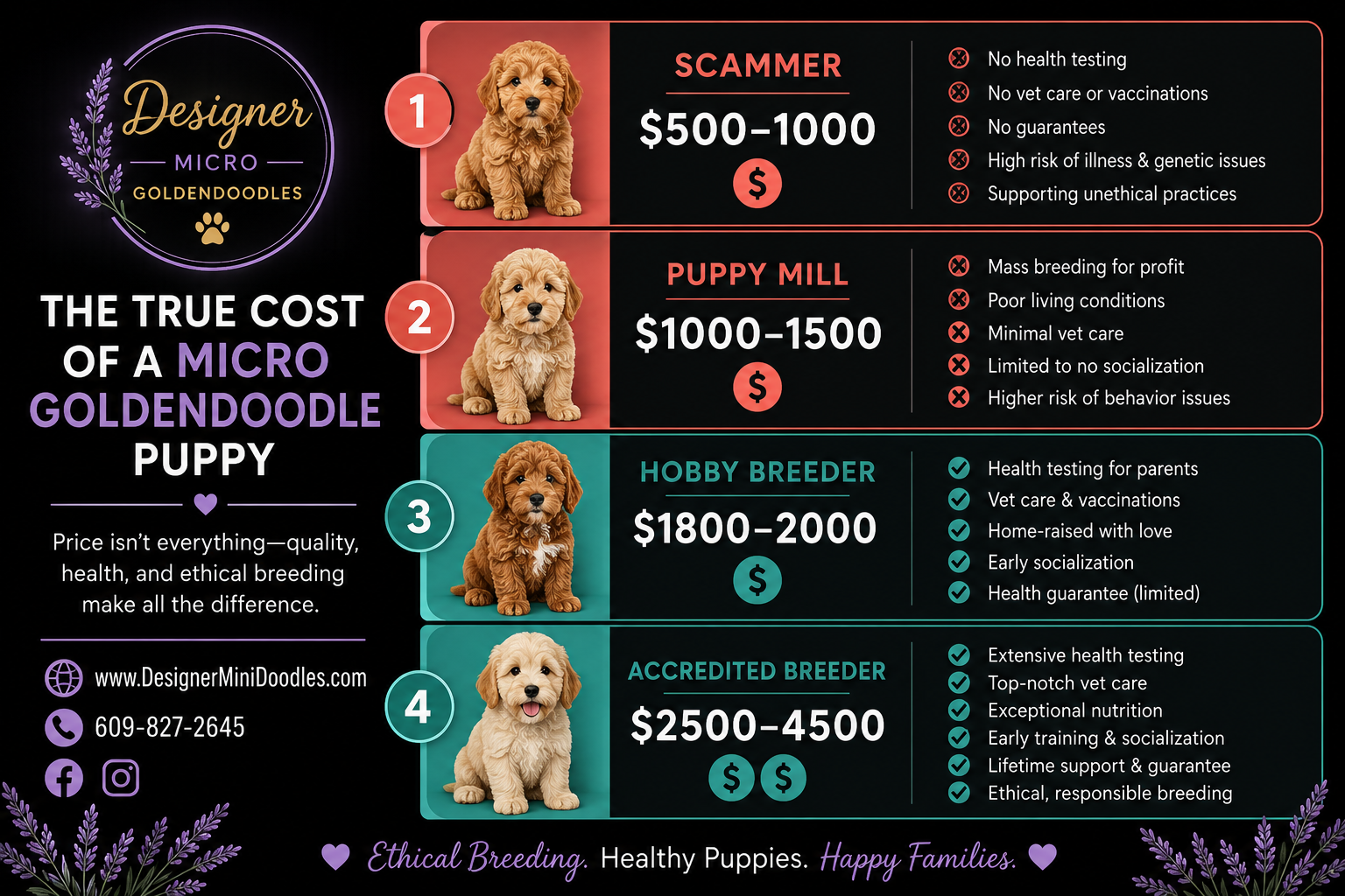 micro goldendoodle price chart