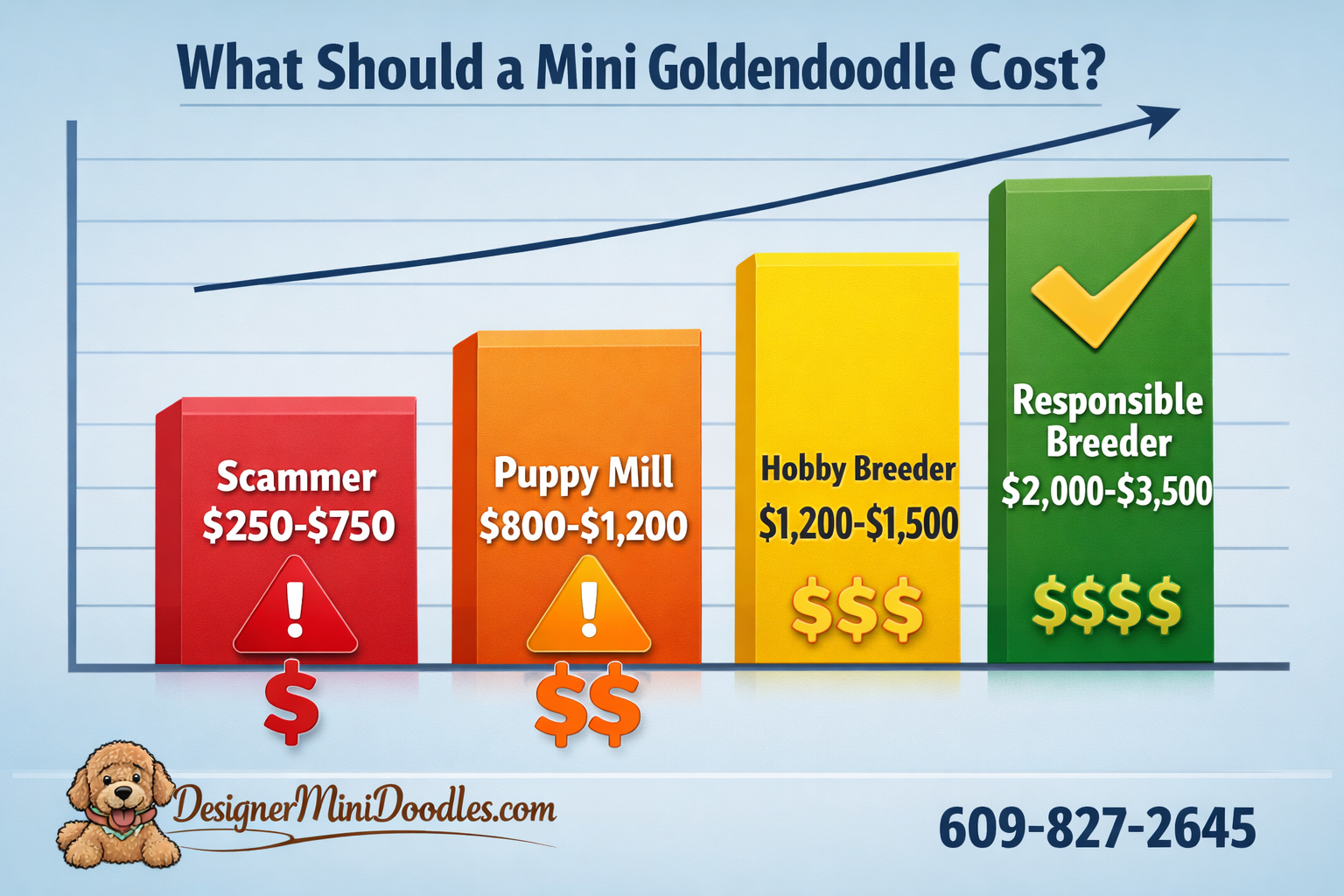 Detailed () image showing a price comparison bar chart with four tiers displayed as ascending colored bars: red bar labeled