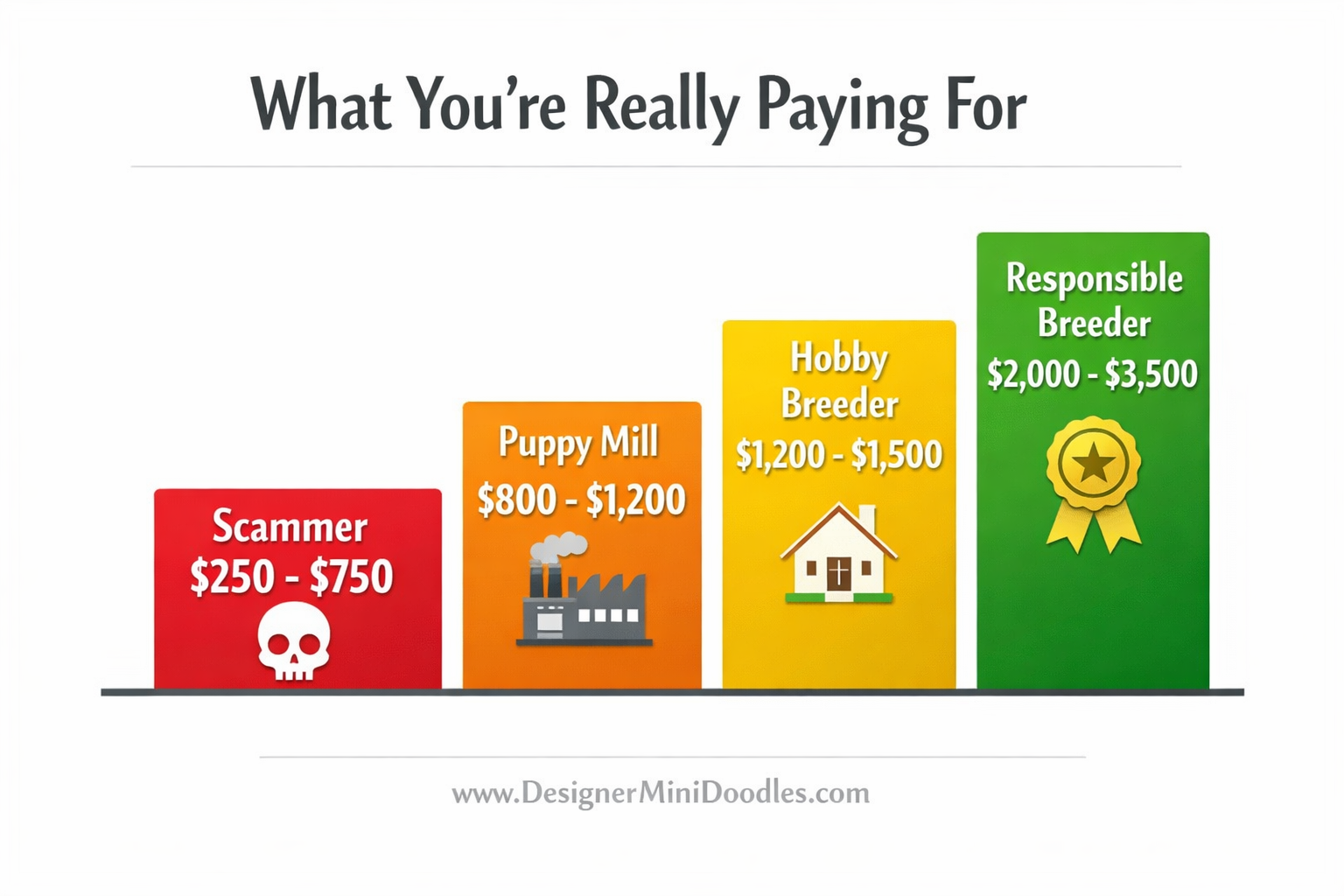 () price comparison bar chart infographic with four bars labeled 'Scammer $250-$750', 'Puppy Mill $800-Breeder price comparison infographic,200', 'Hobby