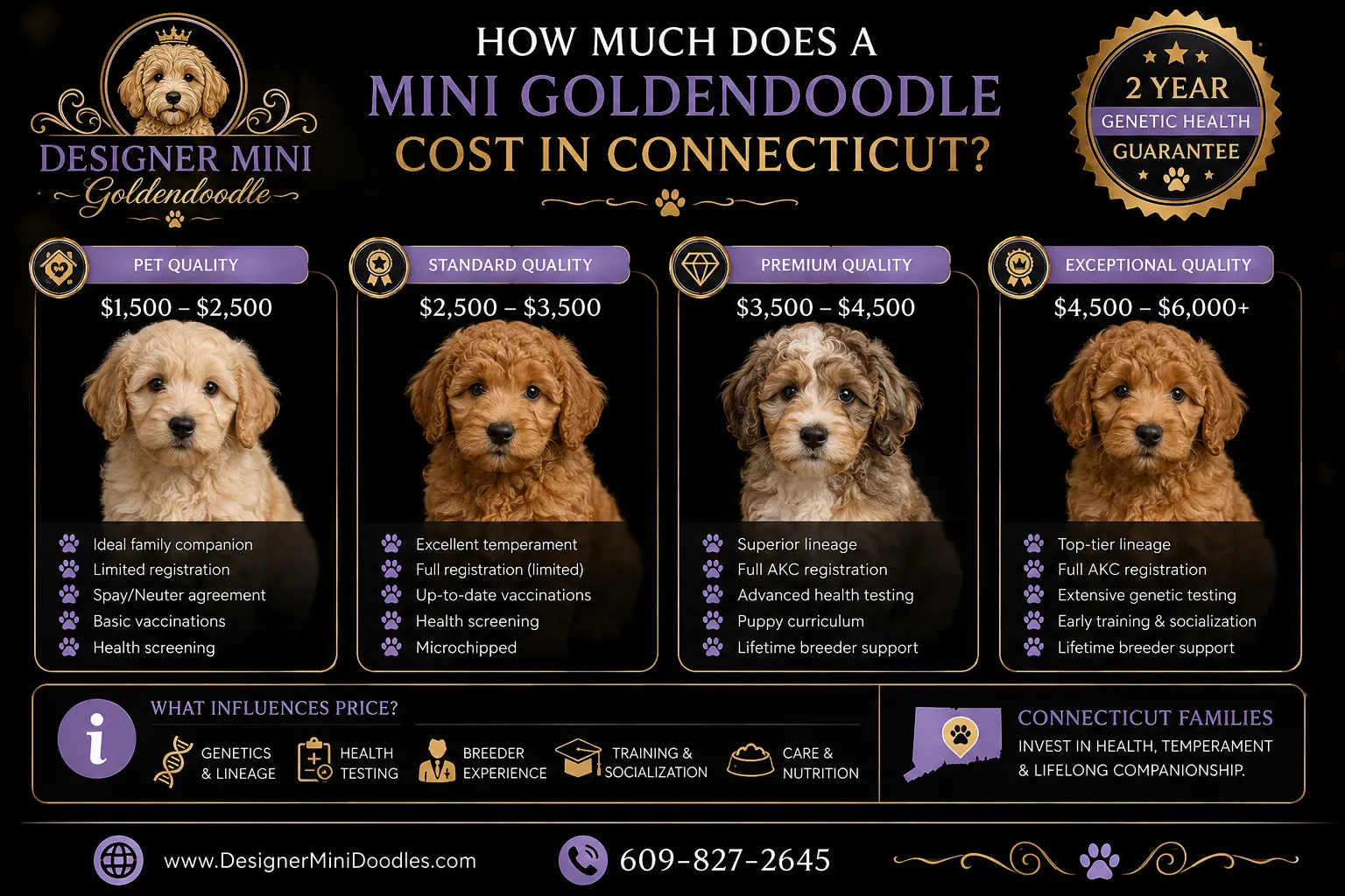 mini goldendoodle breeders Connecticut