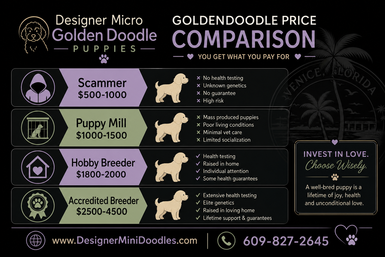 micro golden doodle breeders Venice
